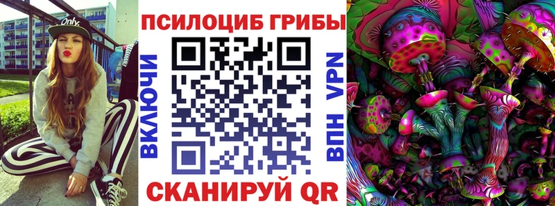 Псилоцибиновые грибы Cubensis  блэк спрут рабочий сайт  Южно-Сахалинск 
